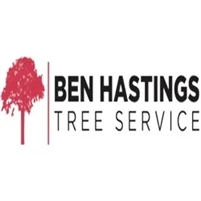  Ben Hastings