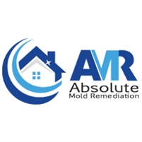 Absolute Mold Remediation Ltd. Vince Bucciachio